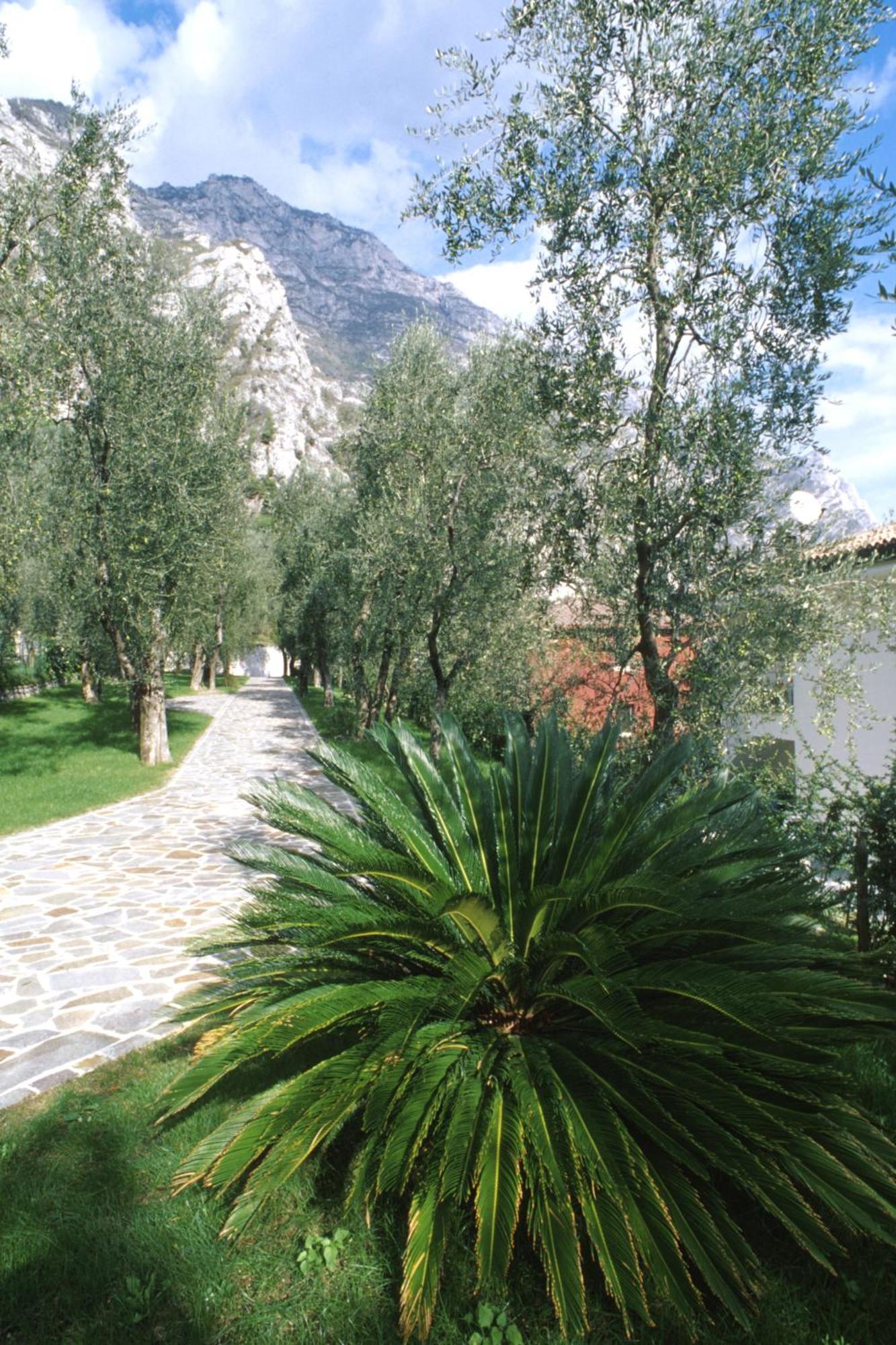Hotel Ilma Lake Garda Resort Limone sul Garda Zewnętrze zdjęcie