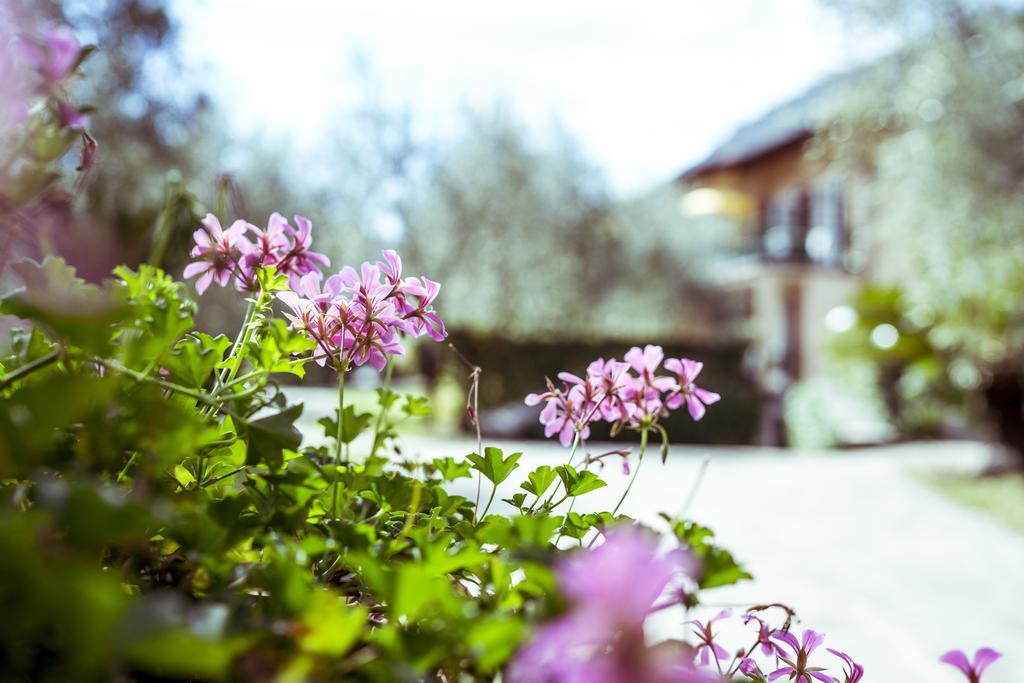 Hotel Ilma Lake Garda Resort Limone sul Garda Zewnętrze zdjęcie